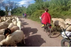 Appia Antica, Aqueducts & Catacombs Rome: E-Bike Tour