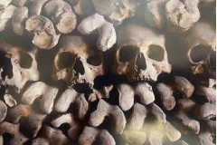Capuchin Crypt: Skip The Line Ticket + Audio Guide