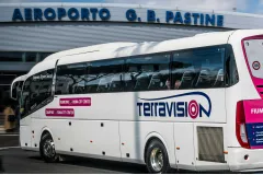 Rome: Bus Transfer from Ciampino Airport to Rome Termini