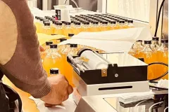 Rome: Limoncello Making Class + Tasting + Pickup