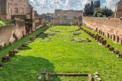 Palatine Hill - Image 2