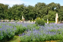 Villa Borghese - Image 3